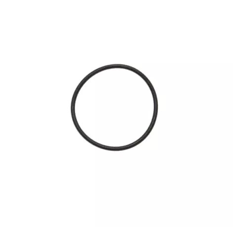 O Ring fuer Cappuccinatore V1 von Saeco 0