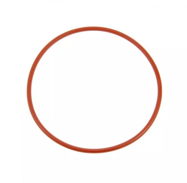 O Ring Boiler fuer Gaggia New Espresso 0