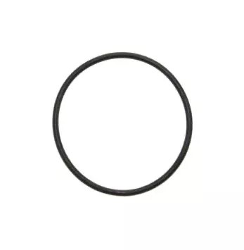 O Ring Cappuccinatore neues Modell fuer Saeco 0